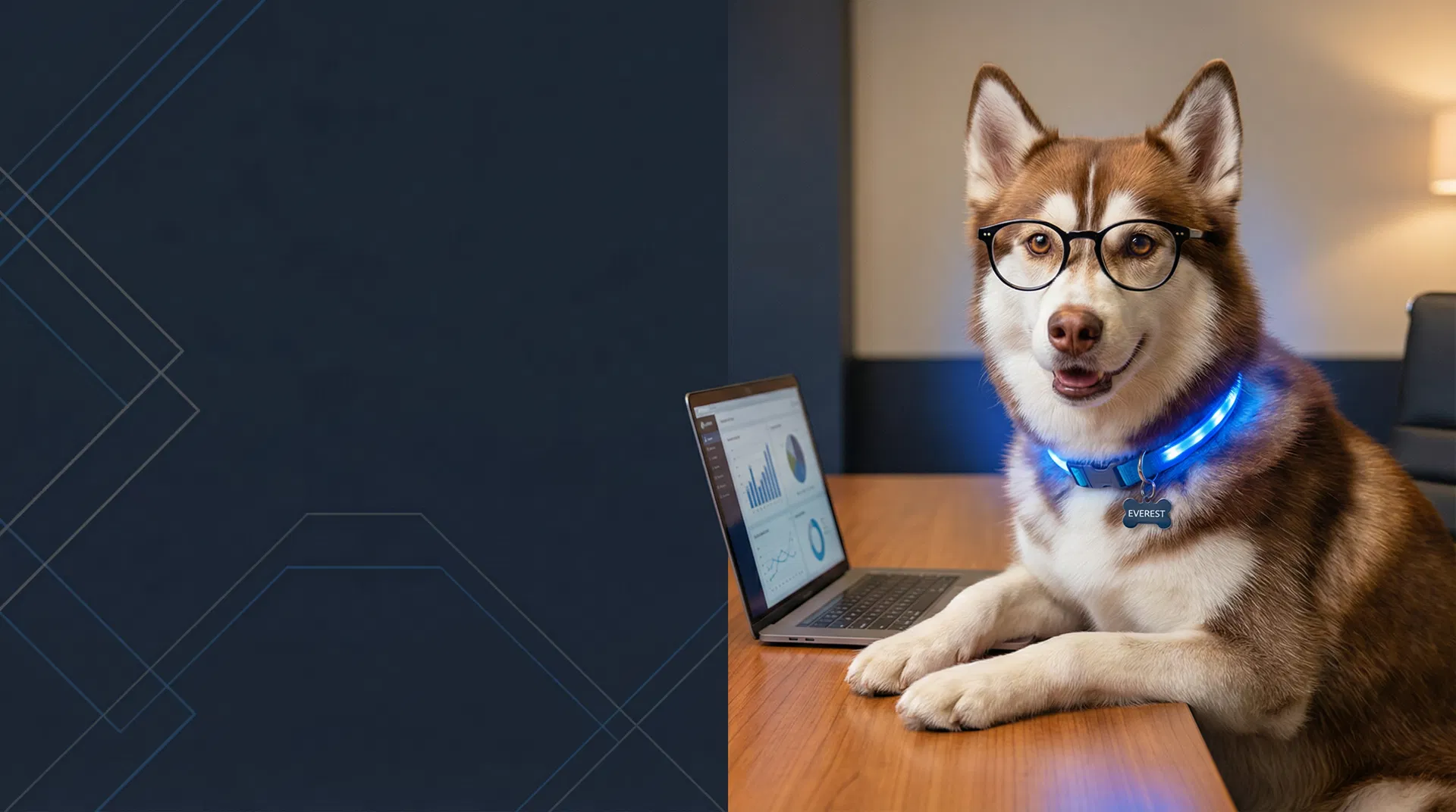 California SEO service areas β HuskyTail Digital
